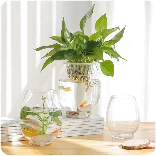 容器|“246期”每一个物体，如同一只具象的容器