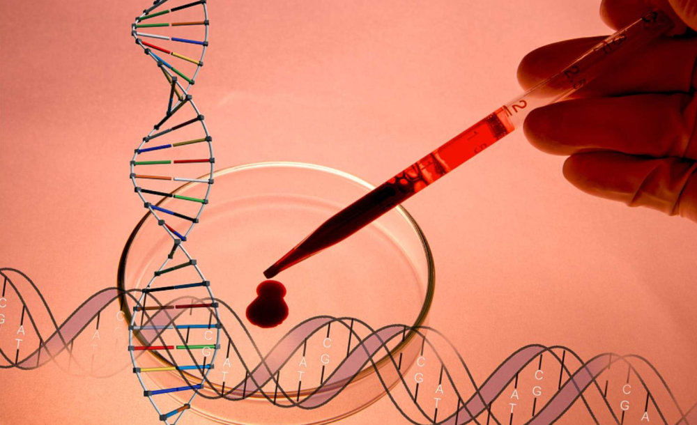 进化|200万年后人类会成什么样子？人机结合，制造新人类是趋势吗？