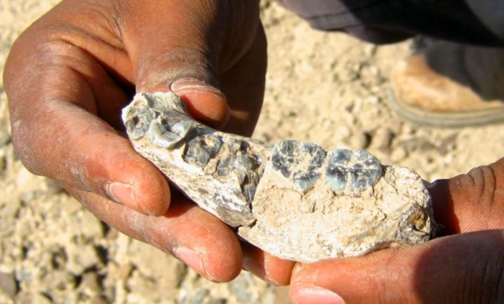 进化|200万年后人类会成什么样子？人机结合，制造新人类是趋势吗？