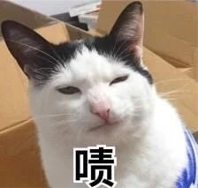 冠军|选秀冠军有啥用？第一名还不如后面几位发展得好