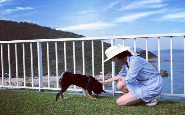 李嘉欣|李嘉欣与许晋亨合体回许家老宅，真正的奢华豪宅罕见出镜，夫妻二人大秀恩爱