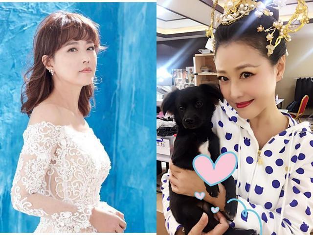 周海媚|时隔25年，从周芷若到灭绝师太，周海媚：人生是不可能重来的！