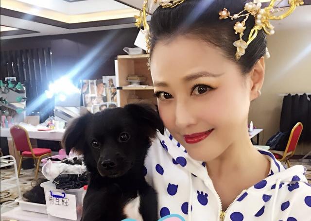 周海媚|时隔25年，从周芷若到灭绝师太，周海媚：人生是不可能重来的！