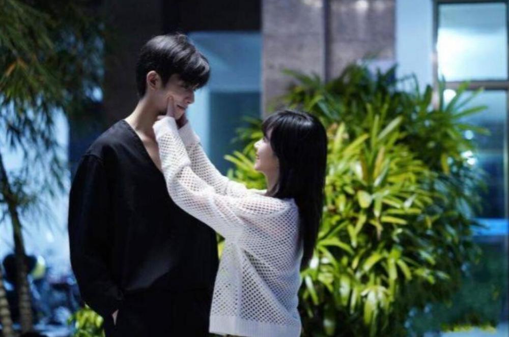 以家人之名|《以家人之名》收官：美满结局的背后，却终究透露着一丝遗憾！