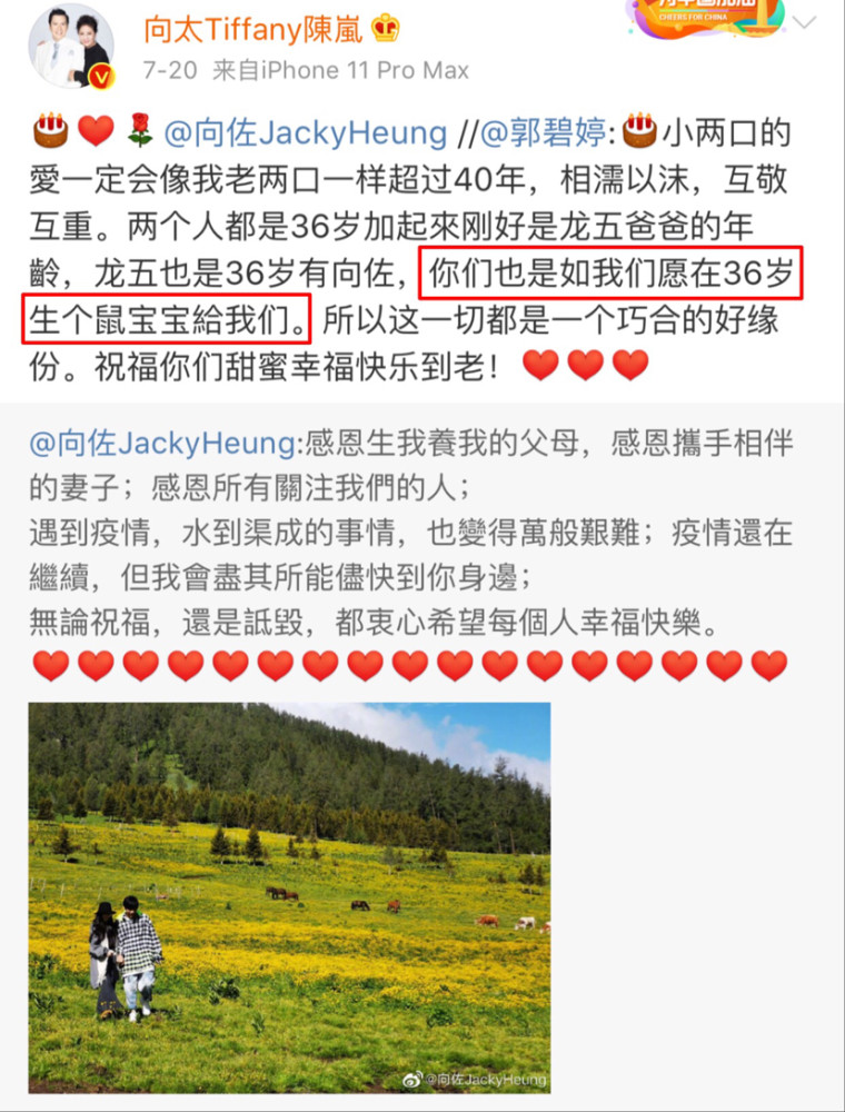 向佐|向佐返台陪产郭碧婷，郭爸每天换花样招待向佐，大赞女婿是半子