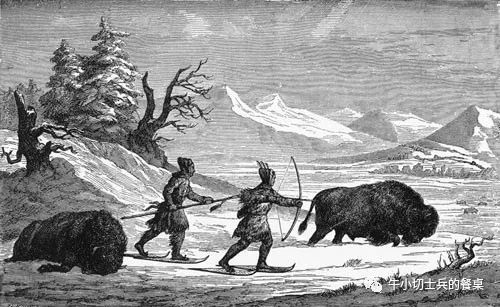 食史百味 印第安人的生命之源 美洲野牛 腾讯新闻