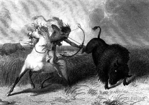 食史百味 印第安人的生命之源 美洲野牛 腾讯新闻