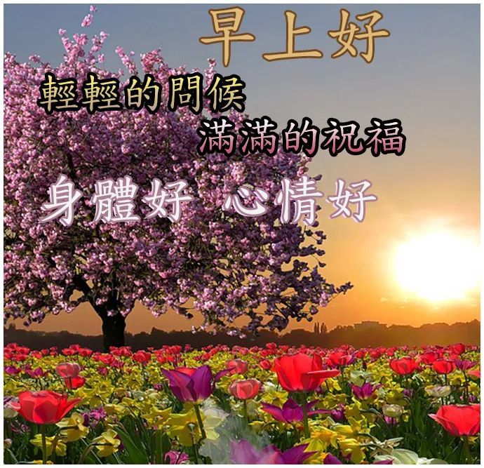 早上好圖片大全高清早上好圖片祝福語