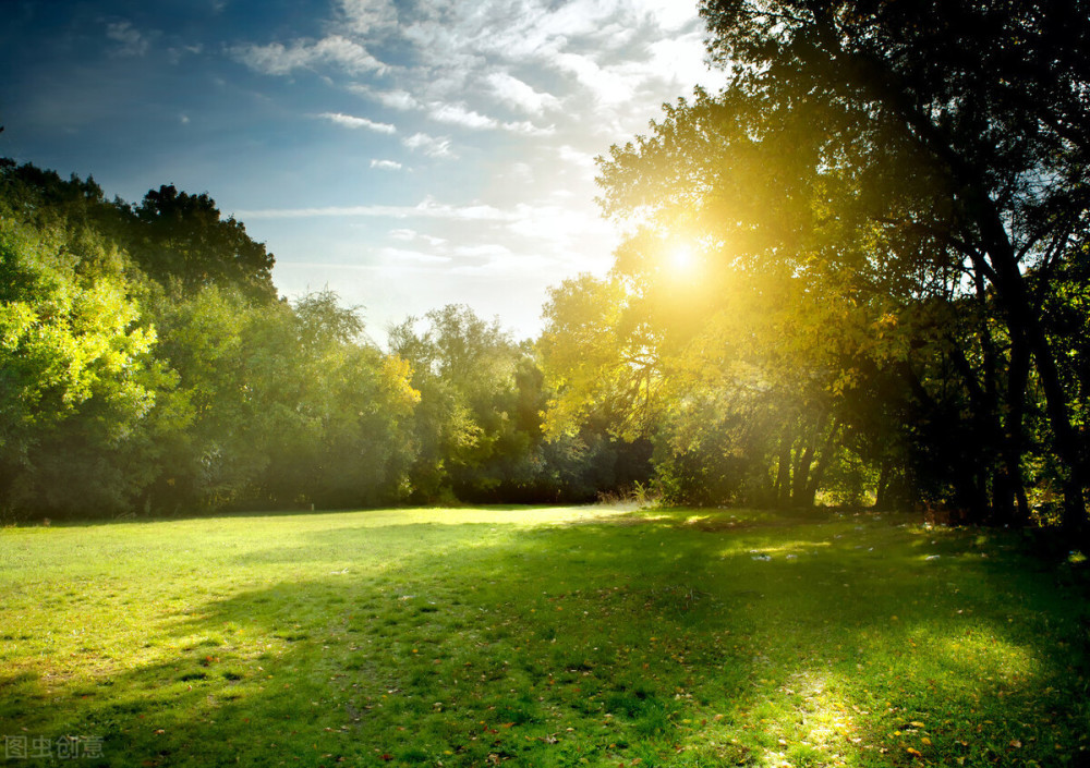 清晨-美好新一天的开始_腾讯新闻