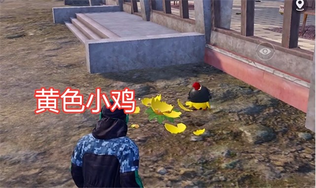 吃鸡:海岛出现两只小鸡,粉色鸡自带信号枪,并非宠物玩法!