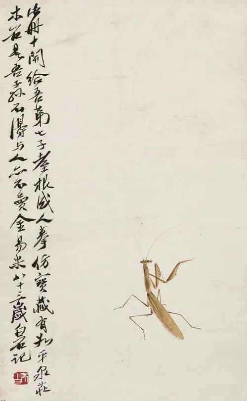 白石老人笔下的螳螂,"斗"趣十足!_腾讯新闻