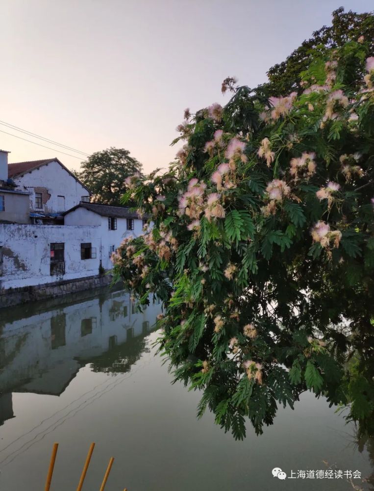 地球|我们就拿人类跟植物来比一比：这两者对地球、对生态有何不同？