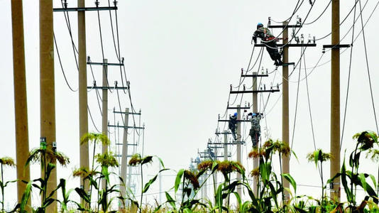 農村電線杆佔用農田,農民可以得到多少補償?|耕地|宅基地|農民|農田