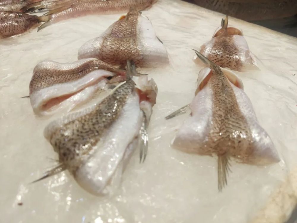 煎奎龙鱼饼一道走多远都忘不掉的北海家乡味