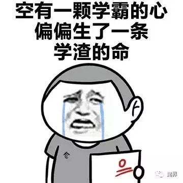 信天翁|一生只睡一只鸟，我等你直到我生命的尽头