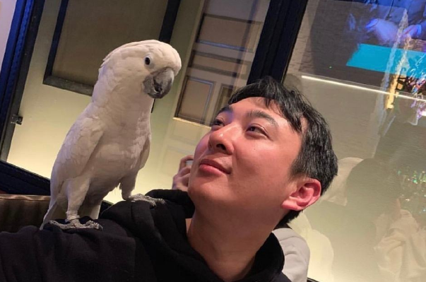 王思聪|王思聪带新女伴去看成都麓湖的房子，最低价也要2万左右一平方米