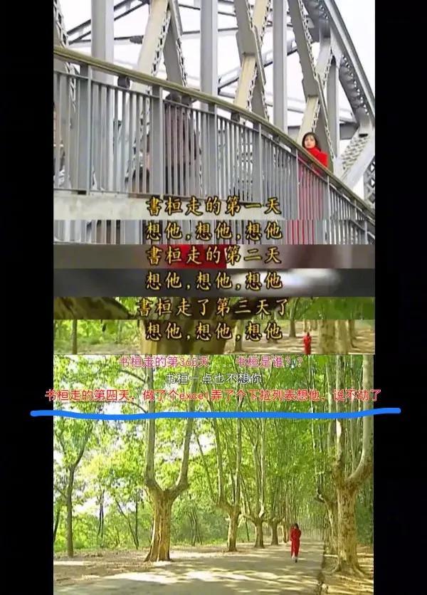 于是计算机二级满分的热心鬼才看不下去了,在书桓走的第四天,帮依萍做