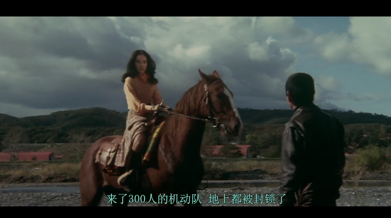 电影追捕故事在日本不温不火删减的内容里有什么