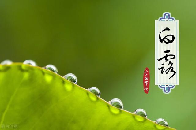 白露|白露.千家诗词大会