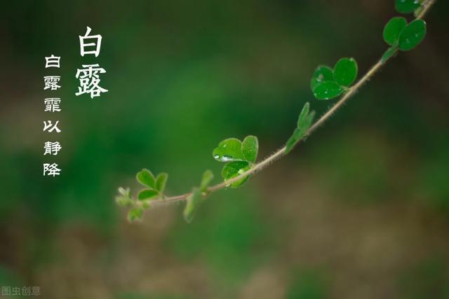 白露|白露.千家诗词大会