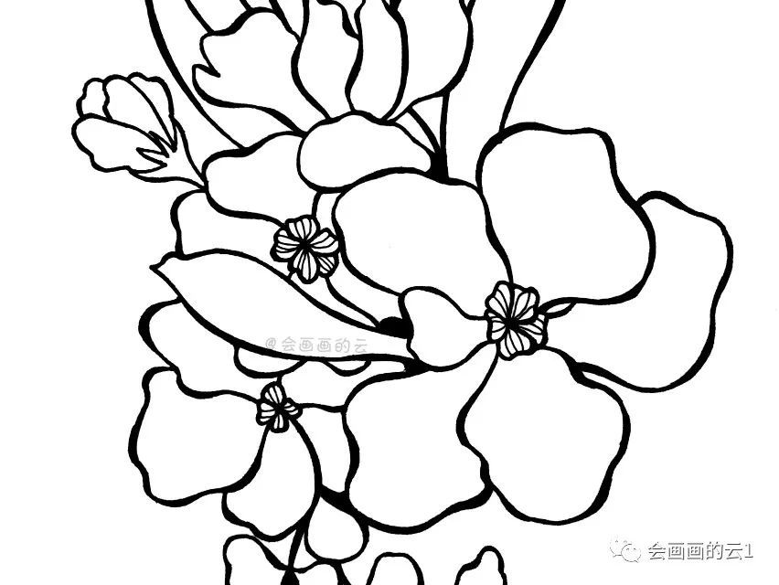 线描画|画画就是这么简单，分步骤教你画线描画，你学会了吗？