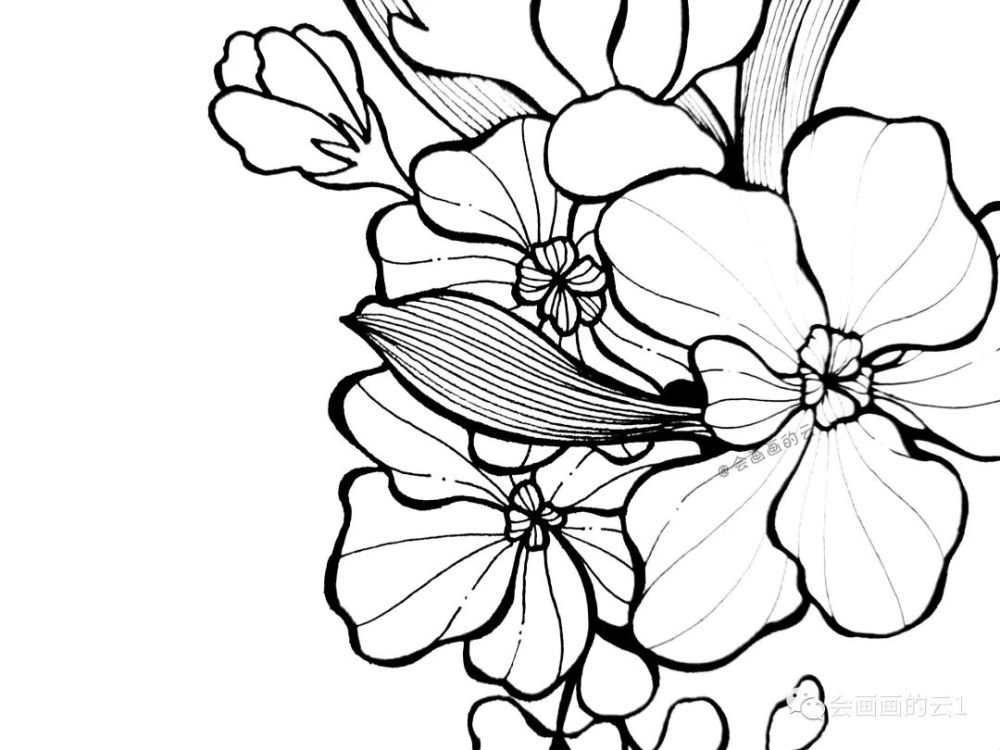 线描画|画画就是这么简单，分步骤教你画线描画，你学会了吗？