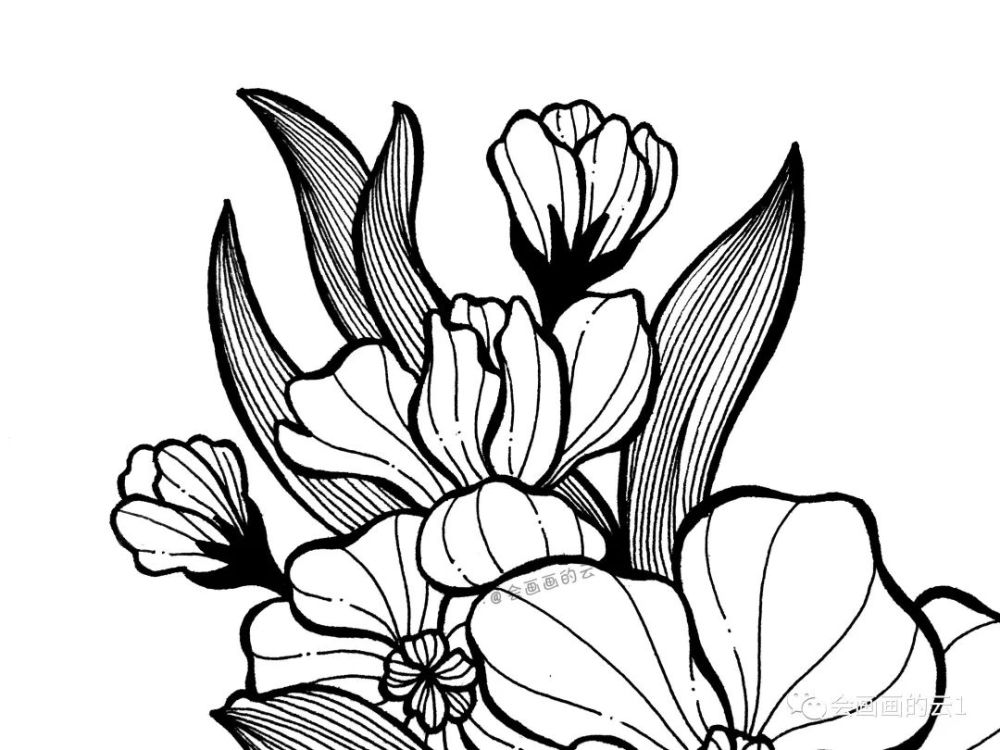 线描画|画画就是这么简单，分步骤教你画线描画，你学会了吗？