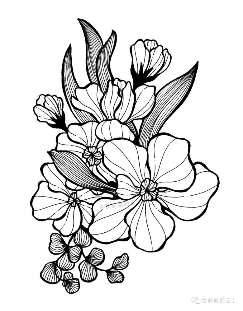 线描画|画画就是这么简单，分步骤教你画线描画，你学会了吗？