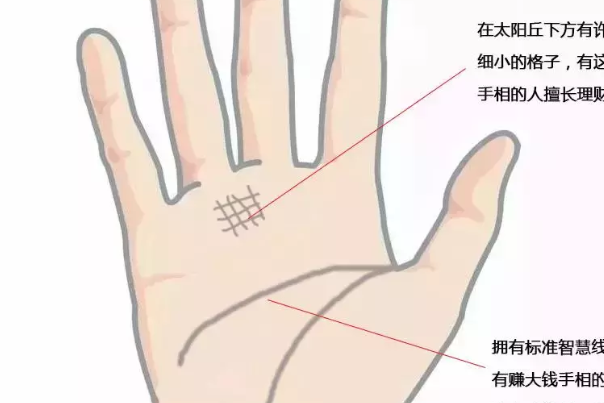 在太阳丘(即无名指下方)下方有许多细小格子的手相,属于赚大钱的手相.