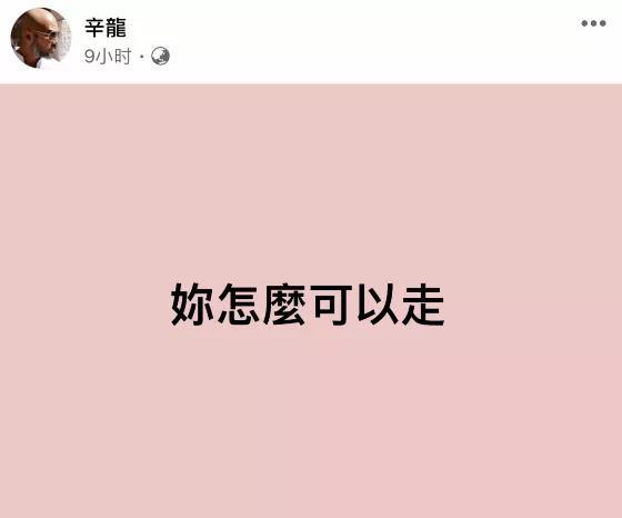辛龙|刘真离世5个月，辛龙取消复出，发文透露近况：走不出丧妻之痛