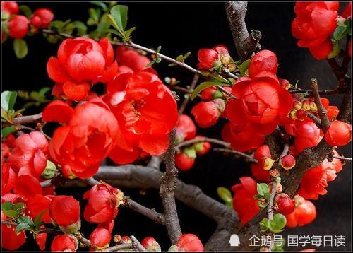 对联|上联：宝剑锋利，锄奸不及七寸笔；下联敬请才子佳人续接