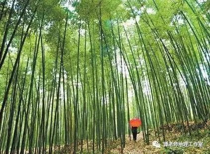 重庆|【玩转地理】重庆为啥叫“山城”？重庆的最东南西北位于哪儿？
