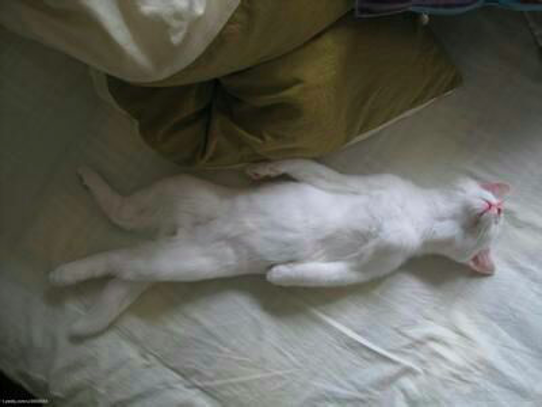 外科|我给自己做了一次手术：真正的外科猛士，敢于砍自己一刀