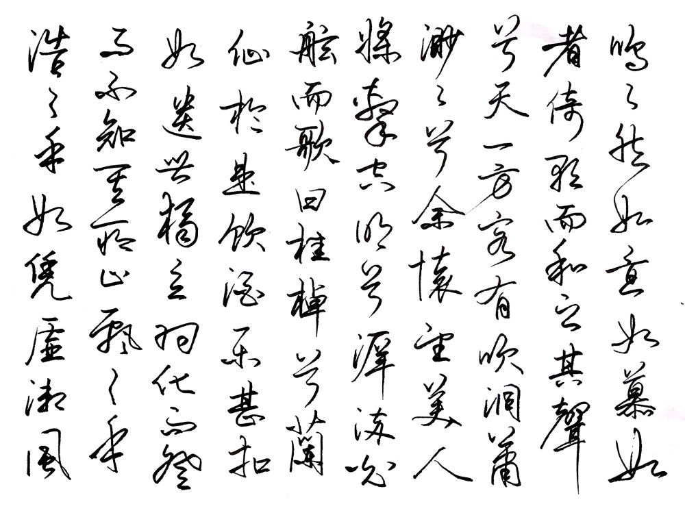宗少林硬笔书法前后赤壁赋美工钢笔字展现硬笔书法之美