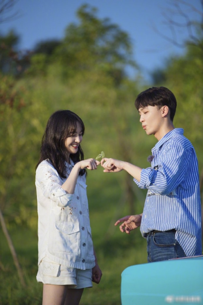 郑爽|张恒陷入合同纠纷，被执行限制消费，郑爽又被拖下水？