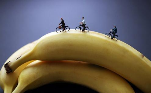 蚂蚁|如果人类体型只有蚂蚁那么大，智慧保留。那将会是什么样的存在？