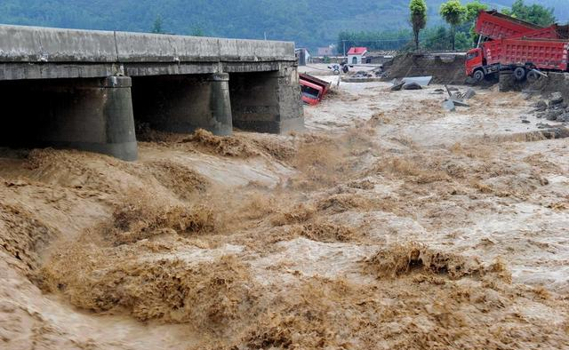 蚂蚁|如果人类体型只有蚂蚁那么大，智慧保留。那将会是什么样的存在？