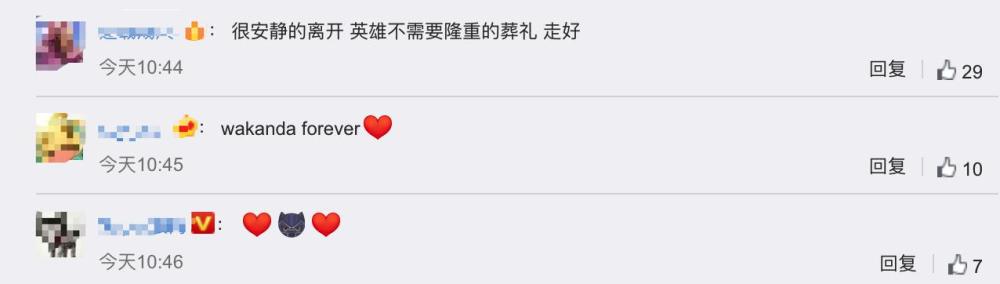 查德维克·博斯曼|黑豹男主追悼会，半个瓦坎达为他送行，反派豹弟也来了
