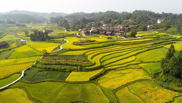 2020年9月2日,贵州省天柱县石洞镇槐寨村"草鞋姐"杨玉珊指导村民编织