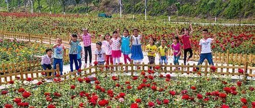 玫瑰情园|十一去北京密云玫瑰情园、人间花海大饱眼福！还可以听到“密云的纳西古乐”