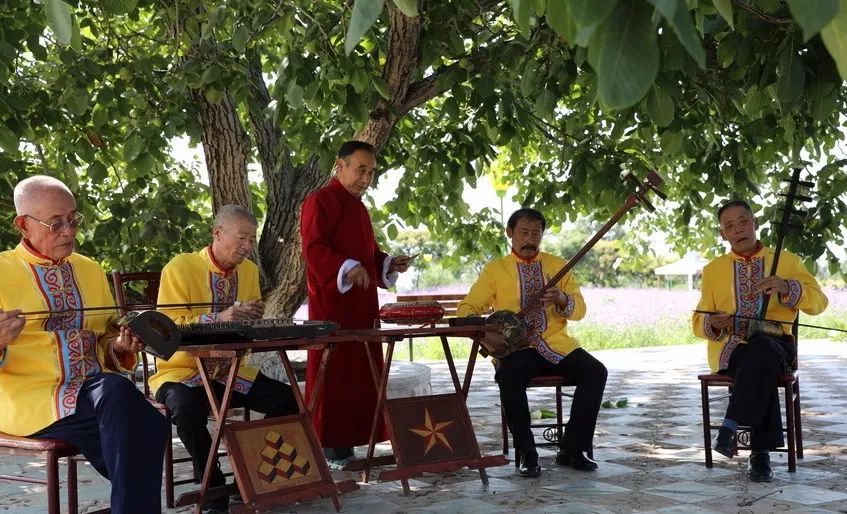 玫瑰情园|十一去北京密云玫瑰情园、人间花海大饱眼福！还可以听到“密云的纳西古乐”