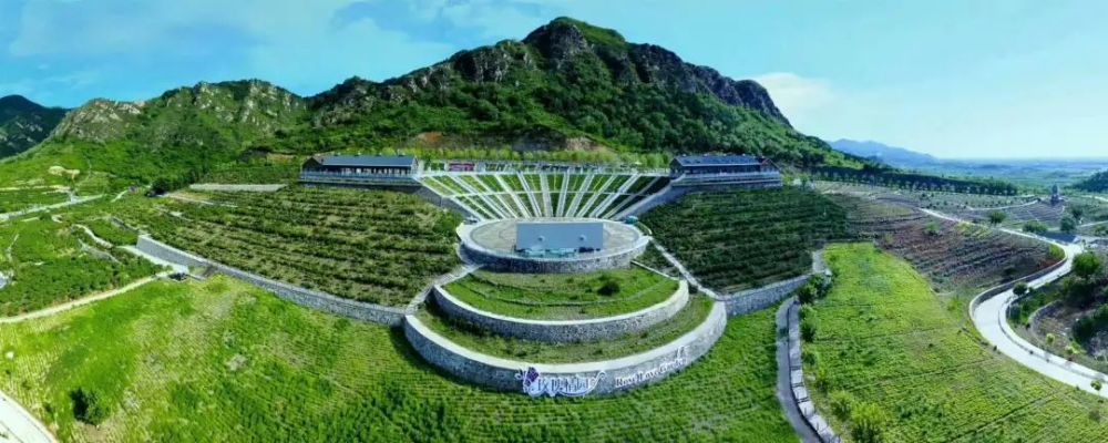 玫瑰情园|十一去北京密云玫瑰情园、人间花海大饱眼福！还可以听到“密云的纳西古乐”