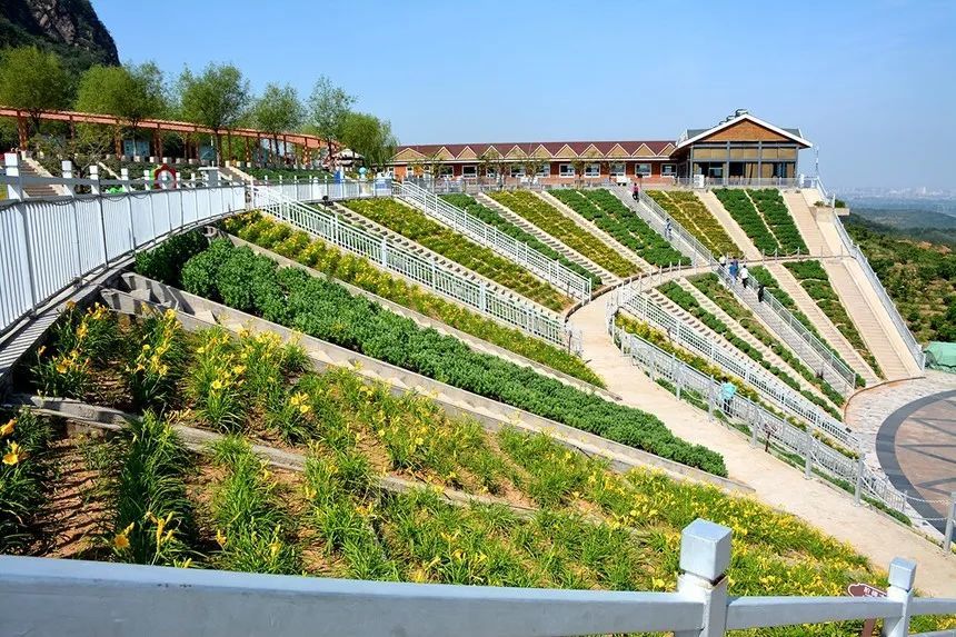 玫瑰情园|十一去北京密云玫瑰情园、人间花海大饱眼福！还可以听到“密云的纳西古乐”