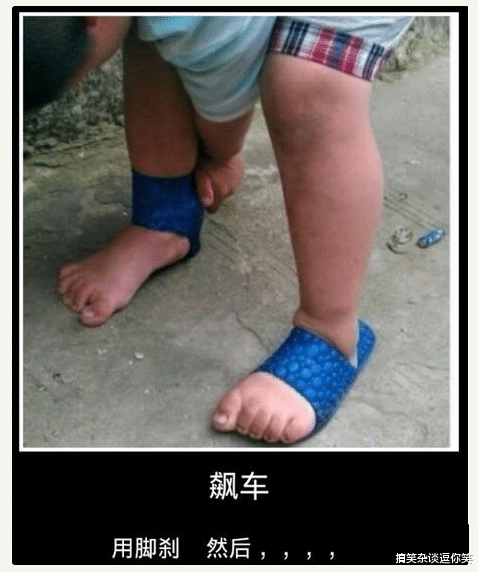 "你么说,银背大猩猩和老虎单挑谁能赢?"这不明摆着嘛,哈哈哈哈哈哈