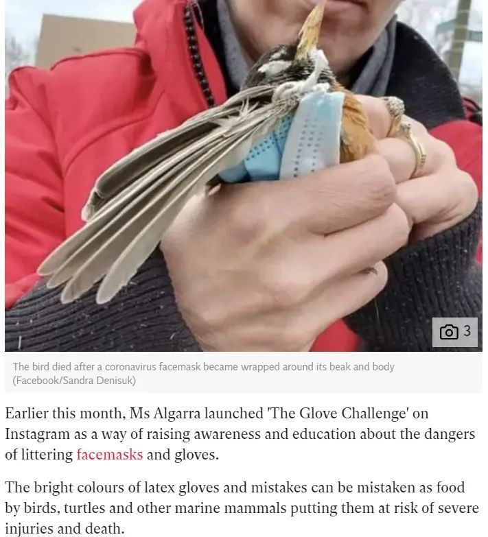 口罩|一个悲剧故事，可能仅仅始于你扔掉的口罩