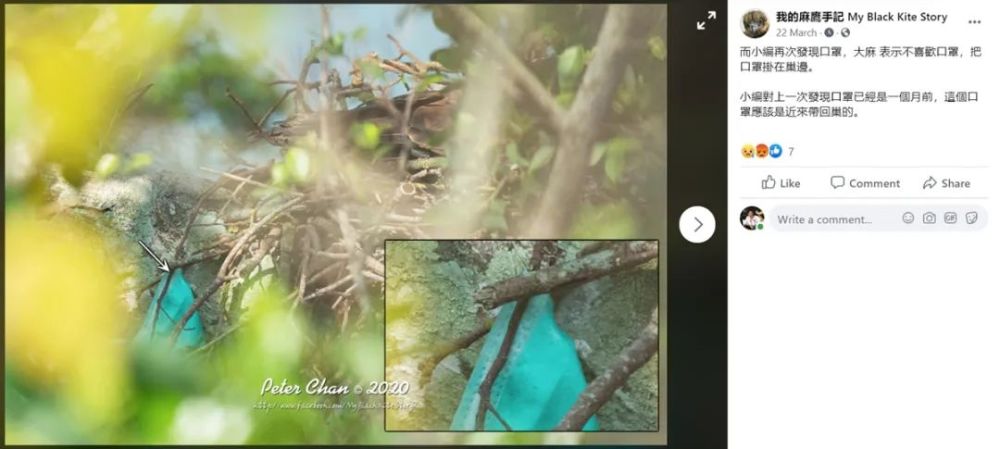 口罩|一个悲剧故事，可能仅仅始于你扔掉的口罩