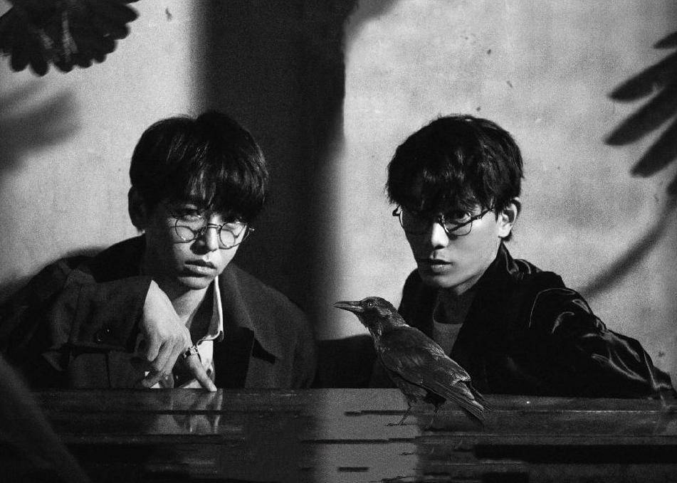 丁禹兮|2020年两大新晋流量：成毅5部剧待播，丁禹兮商务资源更胜一筹