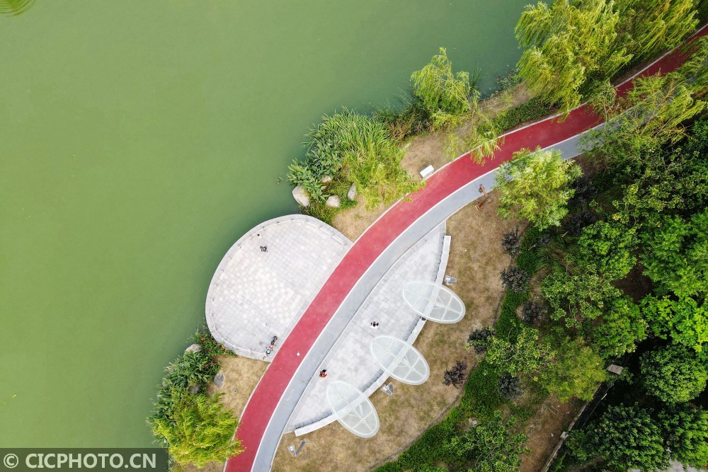 江苏如皋:打造生态绿廊 留住公共空间