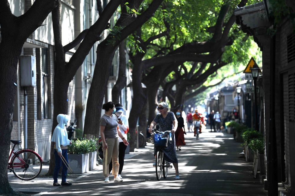 东城区|北京东城创建不停车街巷，“老巷幽宅静树依”将重现