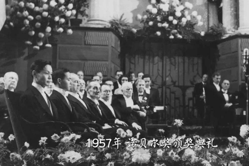 杨振宁|杨振宁李政道决裂的导火索，皆因他妻子杜致礼的女人心思